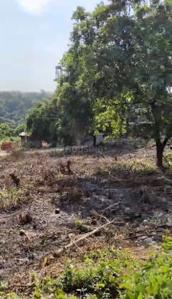 Image of 291 Sq.ft Residential Plot / Land for sale in Kadamba, Goa for Rs. 18900000