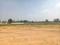 Thimmapur Plot View 2