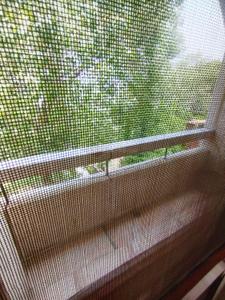 Balcony Image of 1200 Sq.ft 1 RK Builder Floor for rent in Hauz Khas New Delhi for Rs. 45000