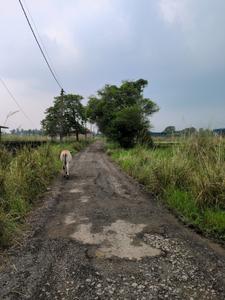 Image of 1440 Sq.ft Residential Plot / Land for sale in Wander Valley, Joka, Kolkata for Rs. 522222