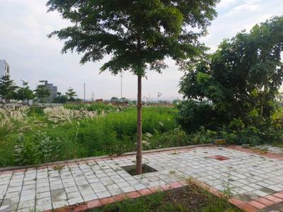 Image of 171 Sq.ft Residential Plot / Land for sale in Skywhales Vienna Greens II, Sector 99A, Gurgaon for Rs. 31400002