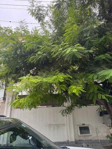 Image of 4845 Sq.ft 5 BHK Independent House for rent in Sector 40, Noida for Rs. 350000