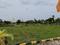 Patel Nagar, West Tambaram Plot View 2