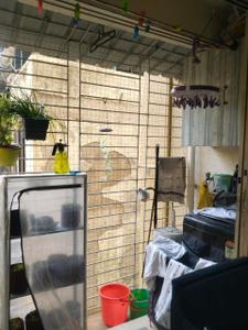 Balcony Image of 1300 Sq.ft 3 BHK Apartment / Flat for sale in Nerul Navi Mumbai for Rs. 27500000