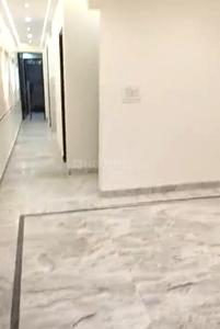Hall Image of 900 Sq.ft 2 BHK Builder Floor for sale in Ramesh Nagar New Delhi for Rs. 14000000