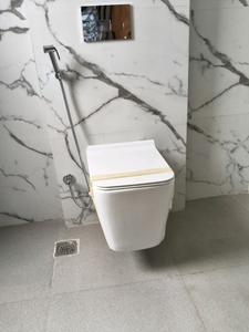 Common Bathroom Image of 2200 Sq.ft 4 BHK Builder Floor for sale in Sector 46 Gurgaon for Rs. 37500000