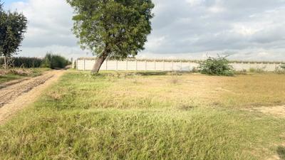 Image of 1800 Sq.ft Residential Plot / Land for sale in Barsana, Mathura for Rs. 2000000