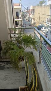 Balcony Image of 900 Sq.ft 1 BHK Builder Floor for rent in Vasant Vihar Karnal for Rs. 12000