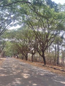Image of 1672 Sq.ft Residential Plot / Land for sale in Chandapura, Bengaluru for Rs. 7942000