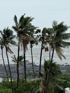Image of 1200 Sq.ft 3 BHK Apartment / Flat for rent in Panju Mahal, Bandra West, Mumbai for Rs. 335000