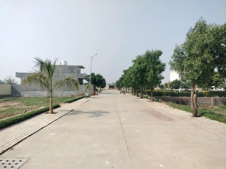 Soha Neal City Main Image 1