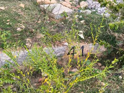 Image of 1200 Sq.ft Residential Plot / Land for sale in Rajarajeshwari Nagar, Mysore for Rs. 8500000