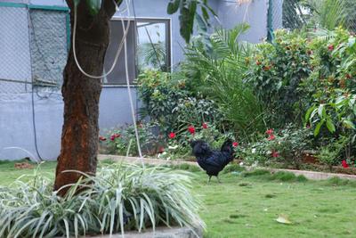 Image of 4960 Sq.ft Residential Plot / Land for sale in Poonjeri, Chennai for Rs. 15200000