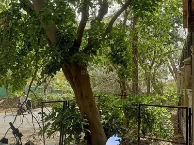 Image of 5184 Sq.ft 4 BHK Independent House for sale in Ambawadi, Ahmedabad for Rs. 70000000