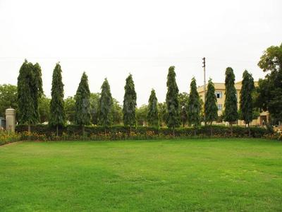 Residential Plot