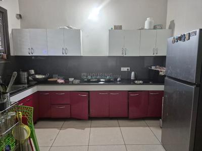 Kitchen Image of 1300 Sq.ft 2 BHK Builder Floor for rent in Sector 123 Mohali for Rs. 16000