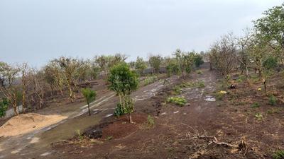 Image of 6000 Sq.ft 1 RK Farm House for sale in Simrol, Indore for Rs. 3647000