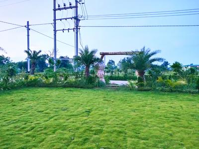 Image of 1000 Sq.ft Residential Plot / Land for sale in Tifra, Bilaspur for Rs. 795000