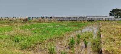 Image of 1620 Sq.ft Residential Plot / Land for sale in Siula, Bhubaneswar for Rs. 1680000