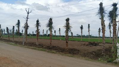 Image of 860 Sq.ft Residential Plot / Land for sale in Swarna Bhoomi, Thiruvallur, Chennai for Rs. 1032000