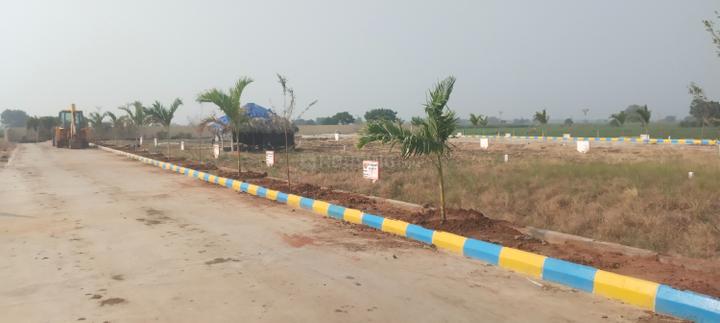 Lam Main Image 1