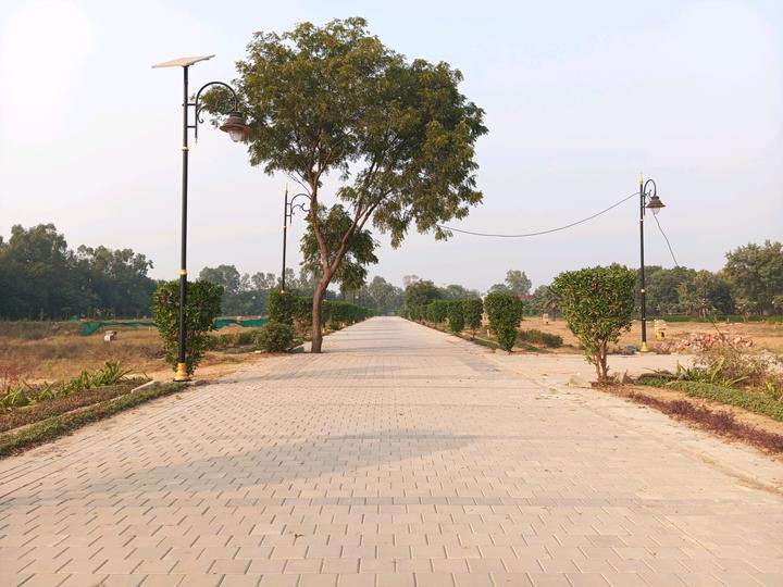 Betterchoice Vanya City Main Image 1