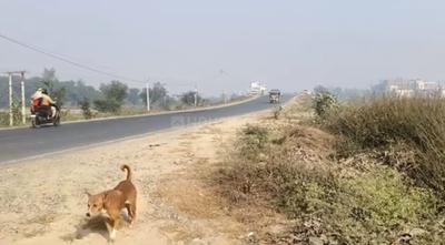 Image of 1201 Sq.ft Residential Plot / Land for sale in Sampatchak Green City, Sampatchak, Patna for Rs. 3000010