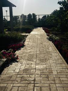 Image of 170 Sq.ft Residential Plot / Land for sale in Manohar The Palm Residency, New Chandigarh, Chandigarh for Rs. 16200000