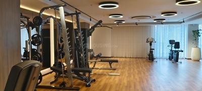Hall Image of 2630 Sq.ft 4 BHK Apartment / Flat for sale in Sobha Nesara, Kothrud Pune for Rs. 39500000