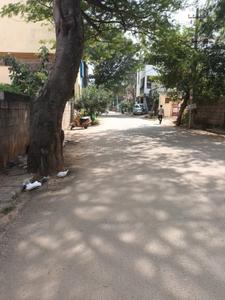 Sir MV Nagar More Images 2
