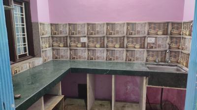 Kitchen Image of 720 Sq.ft 2 BHK Independent House for rent in Borkhera Kota for Rs. 8000