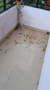 Balcony Image of 1421 Sq.ft 3 BHK Apartment / Flat for rent in Bariatu Ranchi for Rs. 19000