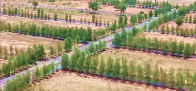 Image of 1800 Sq.ft Residential Plot / Land for sale in Gundrampalli, Nalgonda for Rs. 2800000