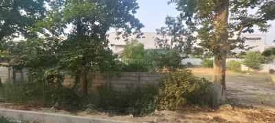 Image of 1350000 Sq.ft Residential Plot / Land for sale in Sarojini Nagar, Lucknow for Rs. 400000000
