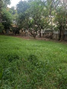 Image of 6500 Sq.ft Residential Plot / Land for sale in Whitefield, Bengaluru for Rs. 65000000