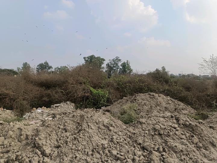 Rohini Sector 28  Main Image 1