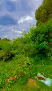 Image of 3500 Sq.ft Residential Plot / Land for sale in Margondanahalli, Bengaluru for Rs. 26250000