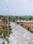 Tranquil City Main Image 1