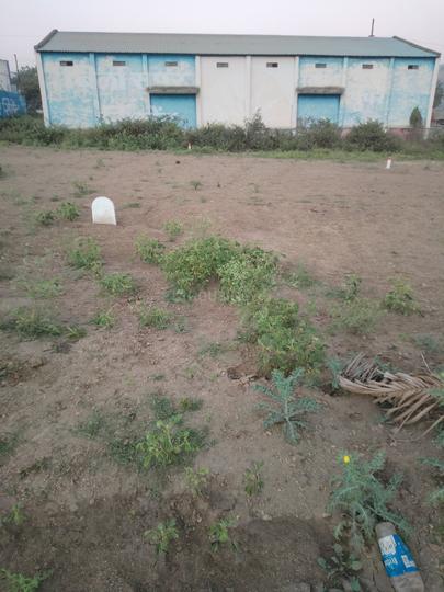 Zep Womens Sarthak Main Image 1