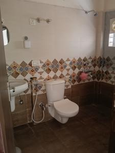 Image of 1500 Sq.ft 3 BHK Duplex for rent in Fortune Landmark , Salaiya, Bhopal for Rs. 20000