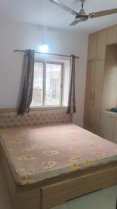 Bedroom Image of 1250 Sq.ft 2 BHK Apartment / Flat for rent in Lalpur Ranchi for Rs. 18000