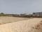 Narpatganj colony Plot View 2
