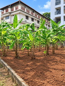 Image of 1960 Sq.ft Residential Plot / Land for sale in Kottappuram, Thrissur for Rs. 6750000
