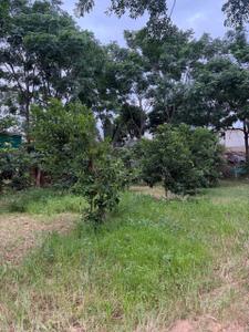 Image of 87120 Sq.ft Residential Plot / Land for sale in  Jayaram Layout, Ragihalli State Forest, Bengaluru for Rs. 25000000