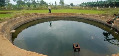 Image of 12905 Sq.ft Residential Plot / Land for sale in Melur, Madurai for Rs. 2475000