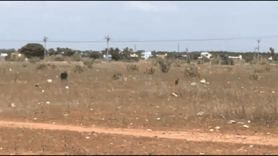 Residential Plot