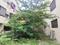 Kanaka Nagar, Hebbal Plot View 2