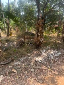 Image of 4356 Sq.ft Residential Plot / Land for sale in Kolazhy, Thrissur for Rs. 6500000