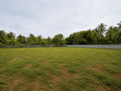 Residential Plot