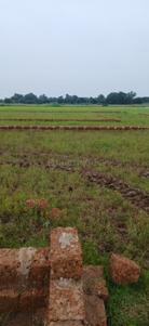 Image of 1200 Sq.ft Residential Plot / Land for sale in Nachhipur, Saindha, Cuttack for Rs. 1500000
